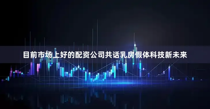 目前市场上好的配资公司共话乳房假体科技新未来