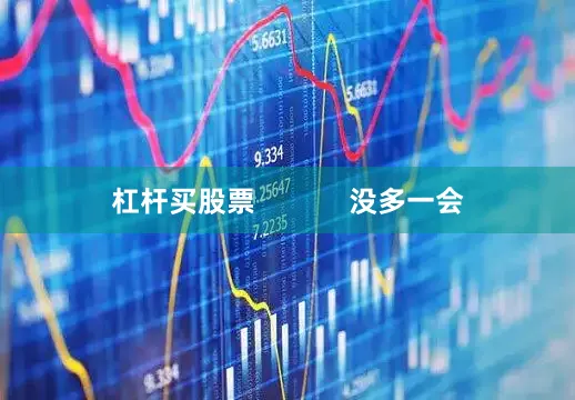 杠杆买股票            没多一会