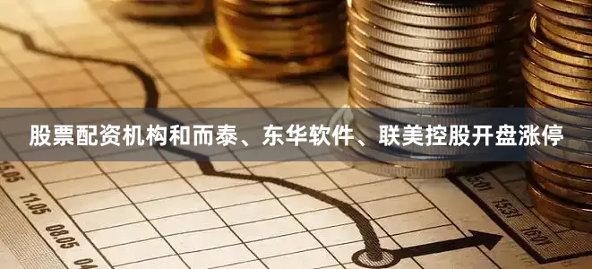 股票配资机构和而泰、东华软件、联美控股开盘涨停