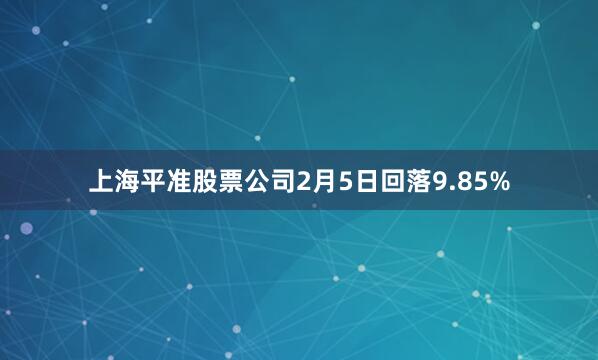 上海平准股票公司2月5日回落9.85%