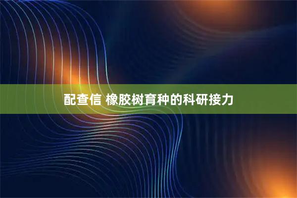 配查信 橡胶树育种的科研接力