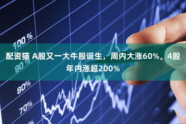 配资猫 A股又一大牛股诞生，周内大涨60%，4股年内涨超200%